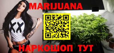 сатива Новокубанск