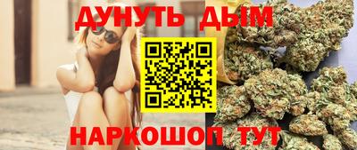 сатива Новокубанск