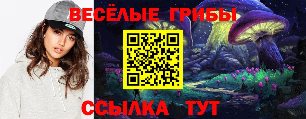 Галлюциногенные грибы Psilocybe Строитель